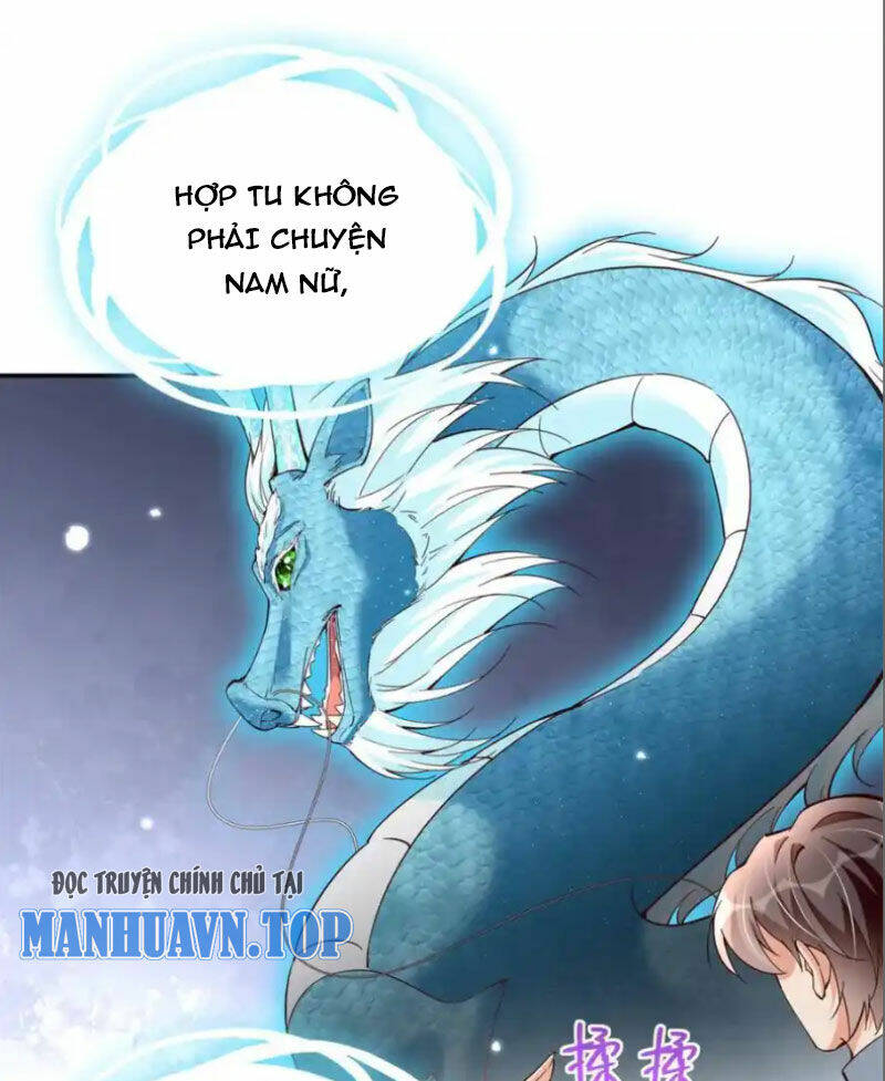 Chapter 224