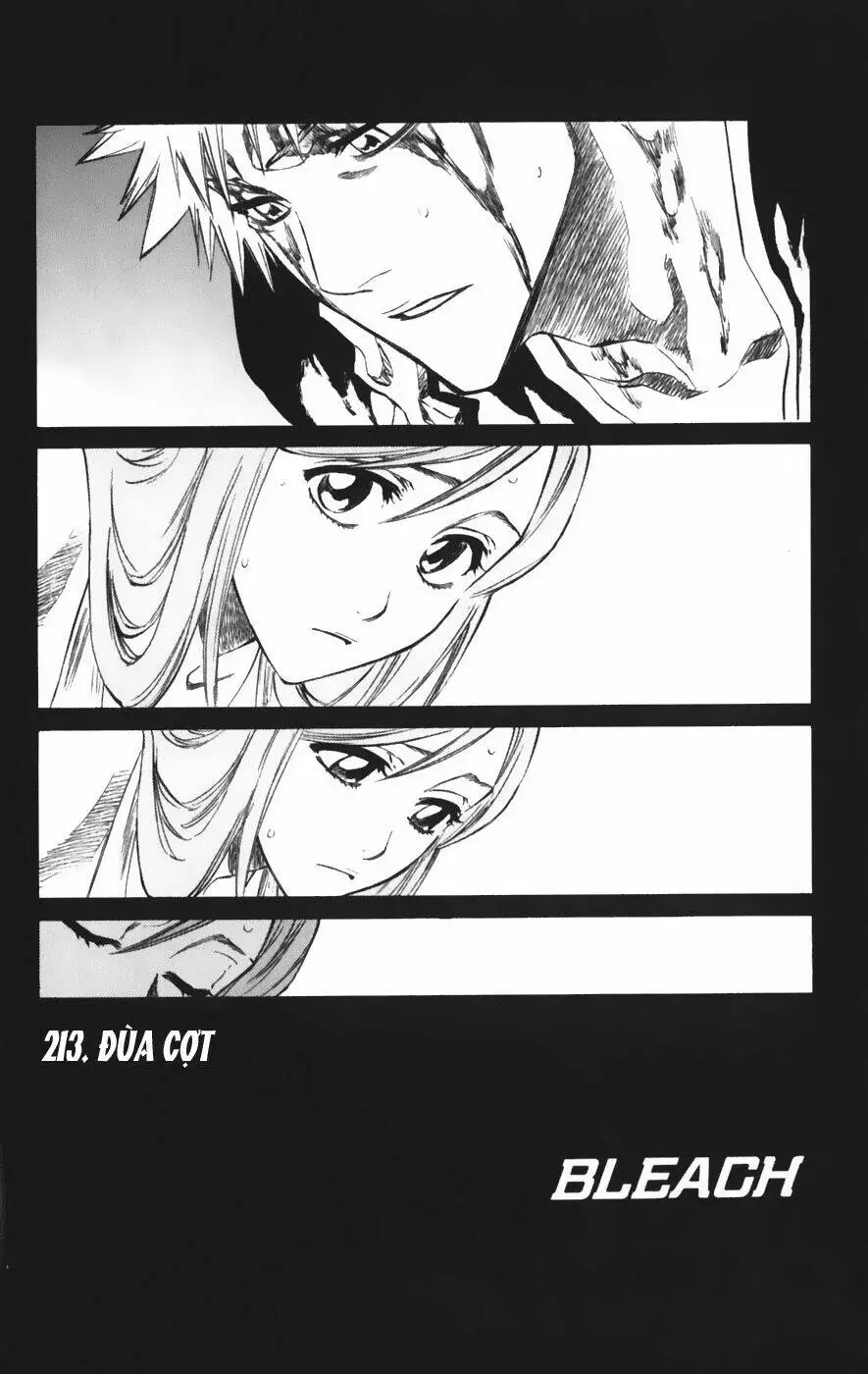 Chapter 213