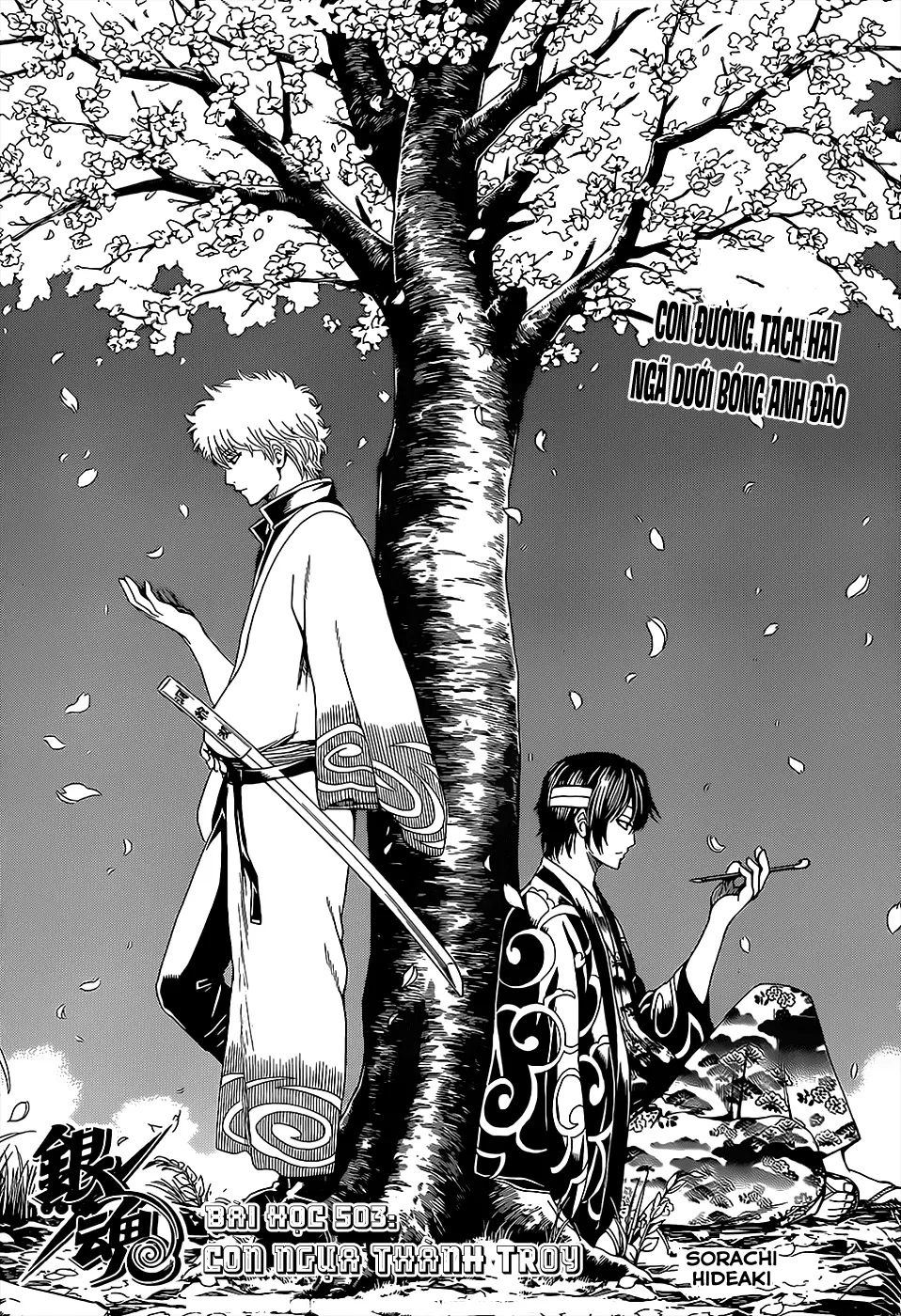 Chapter 503