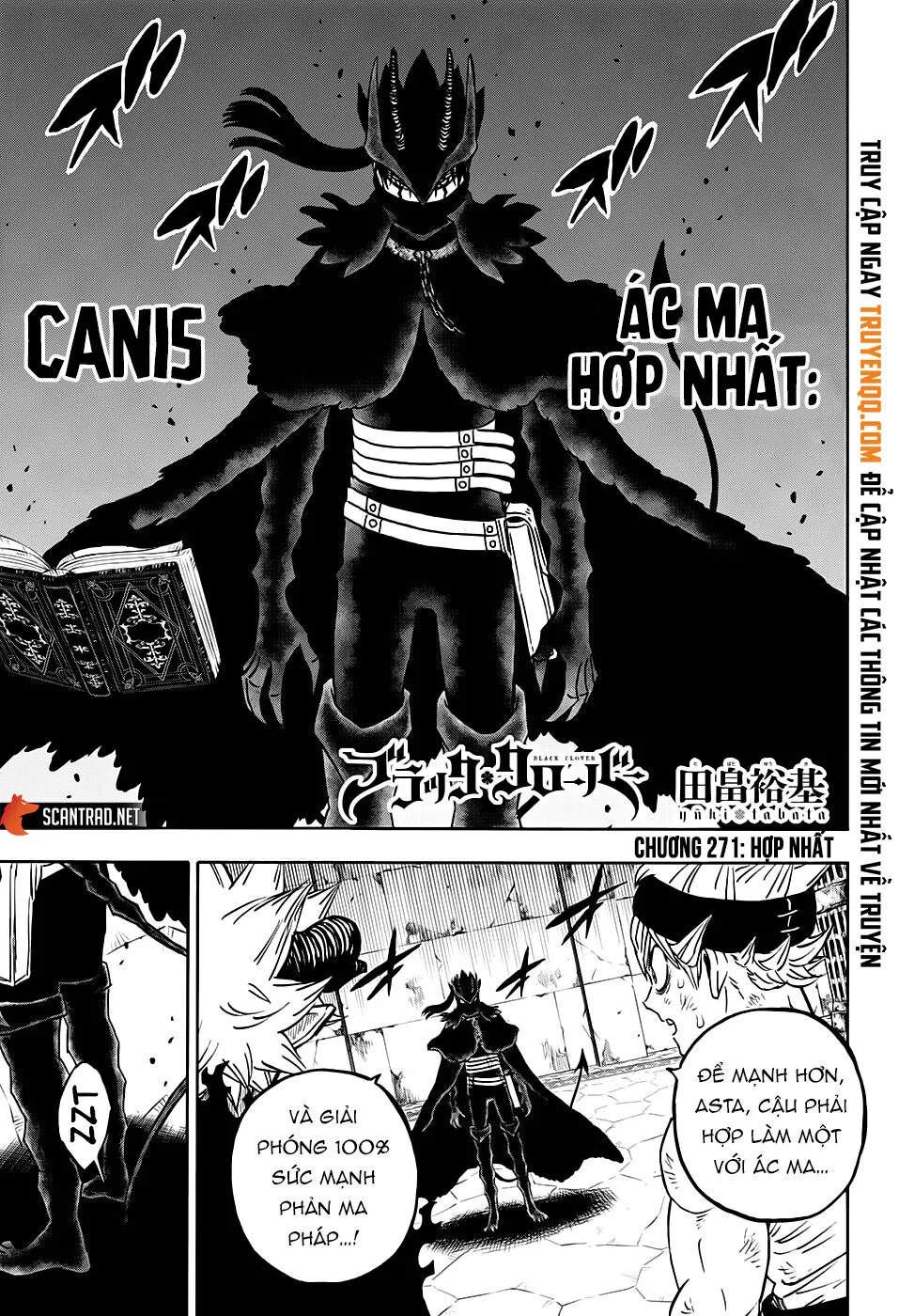 Chapter 271