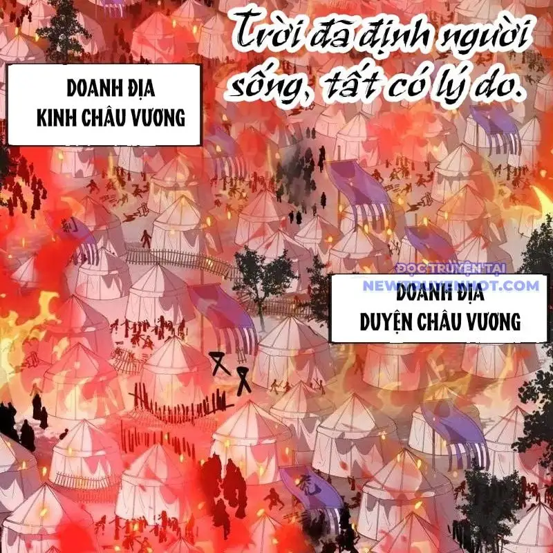 Chapter 1077