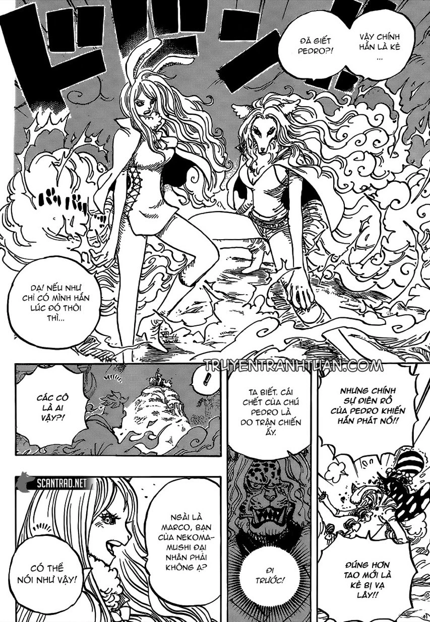 Chapter 995