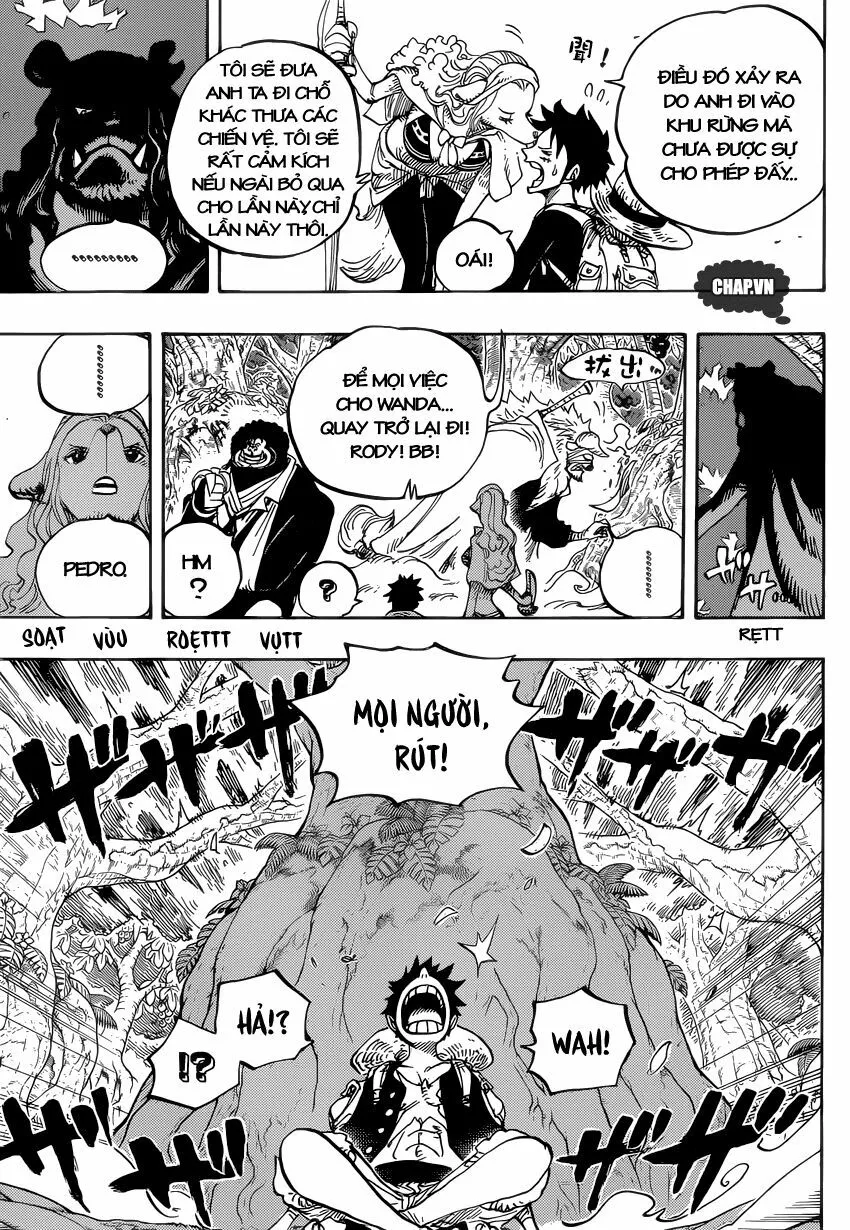 Chapter 805