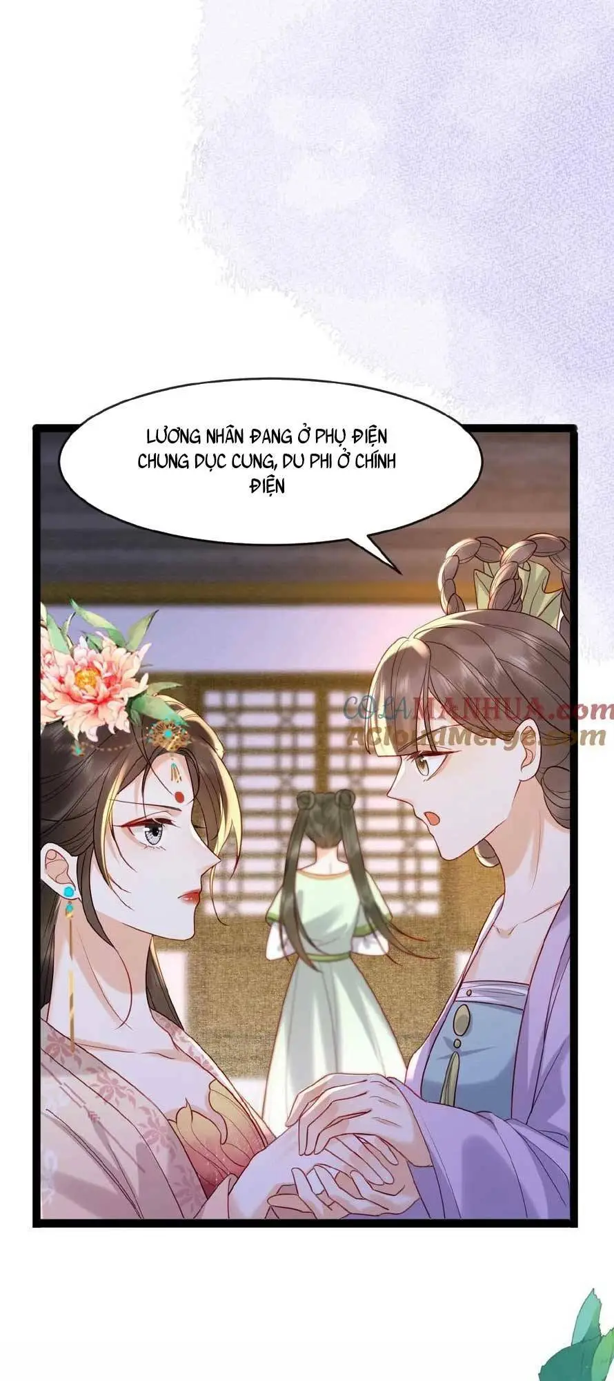 Chapter 81