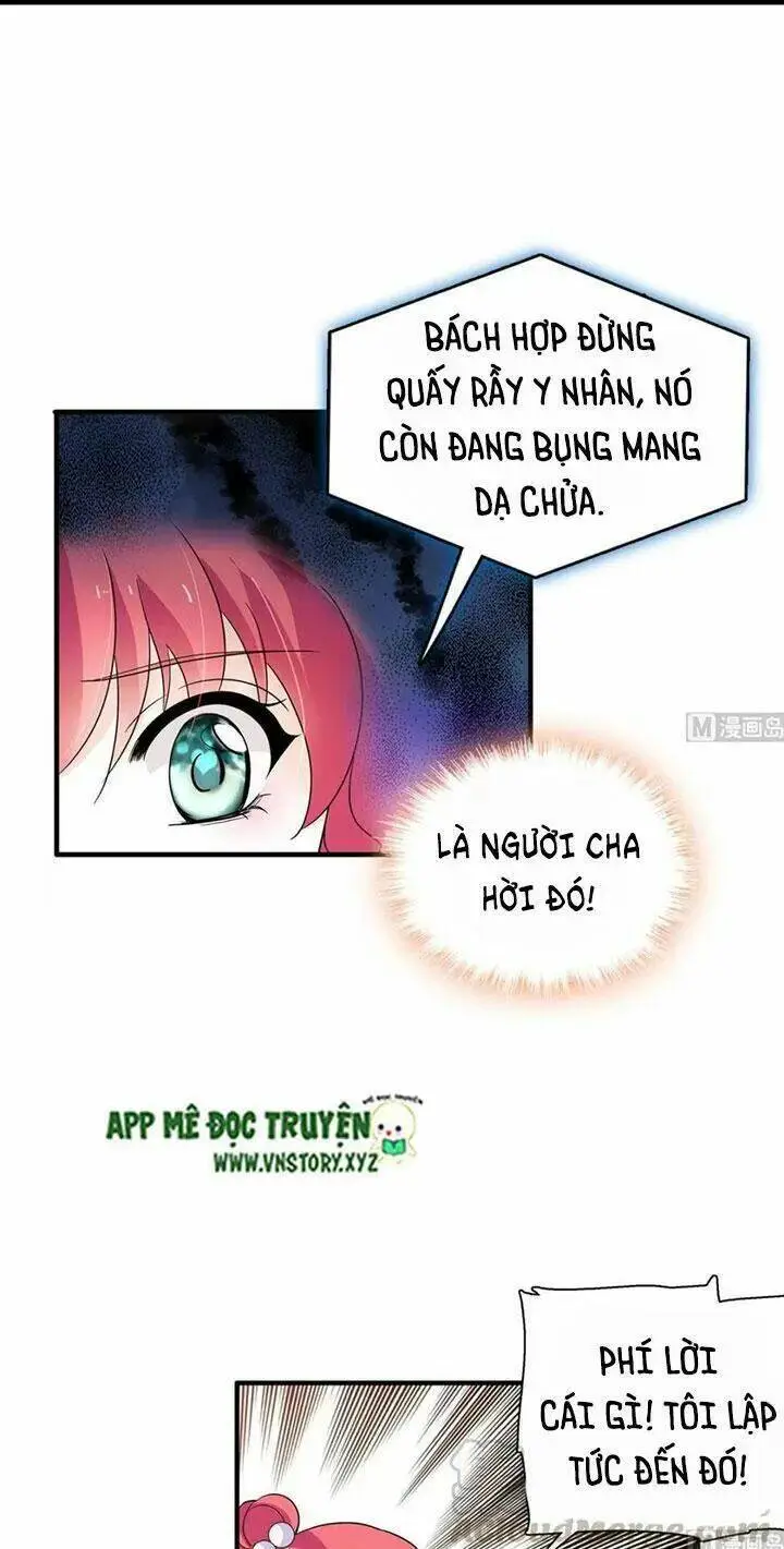 Chapter 237