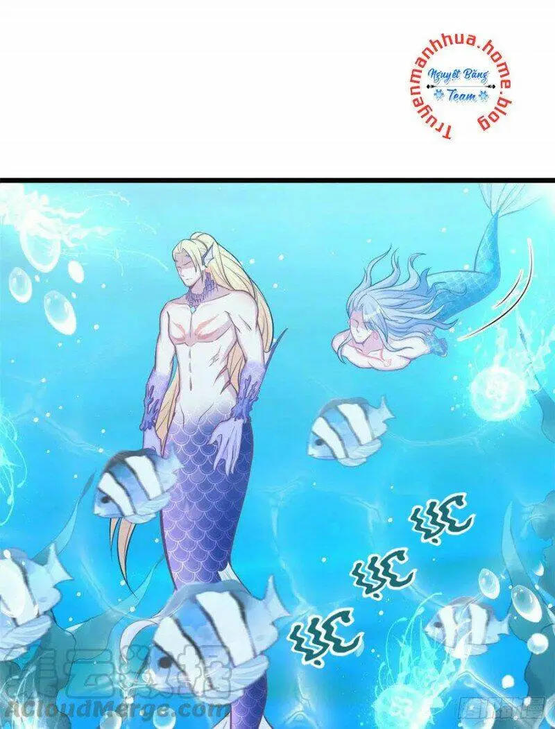 Chapter 225