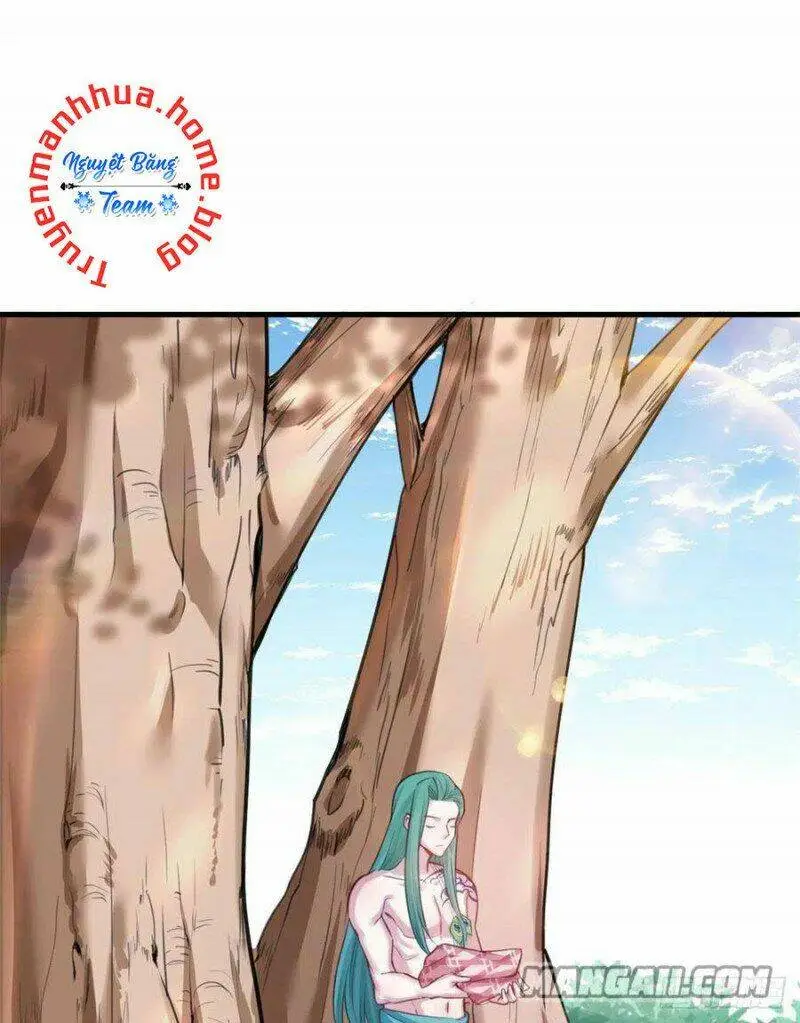 Chapter 204