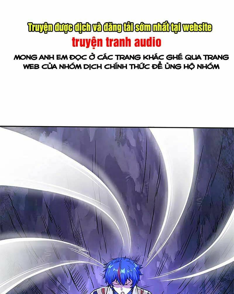 Chapter 244