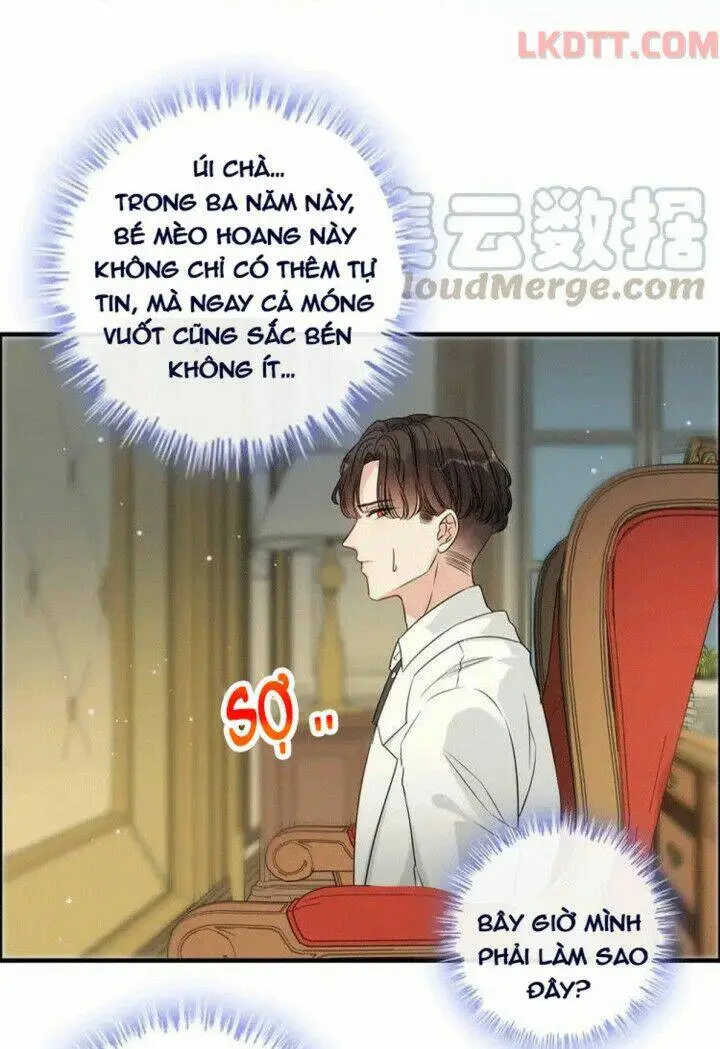 Chapter 334