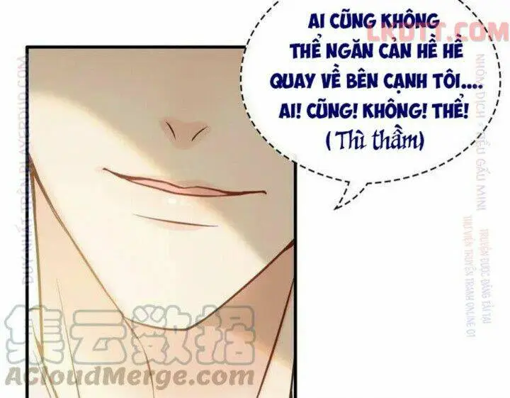 Chapter 331