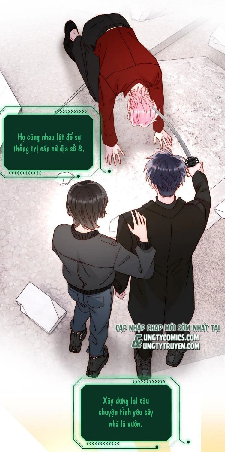 Chapter 48