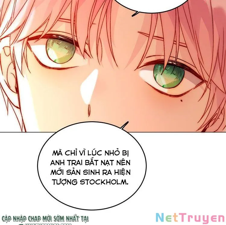 Chapter 40