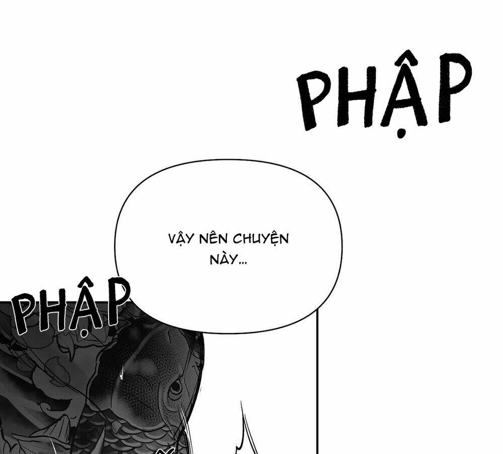 Chapter 52