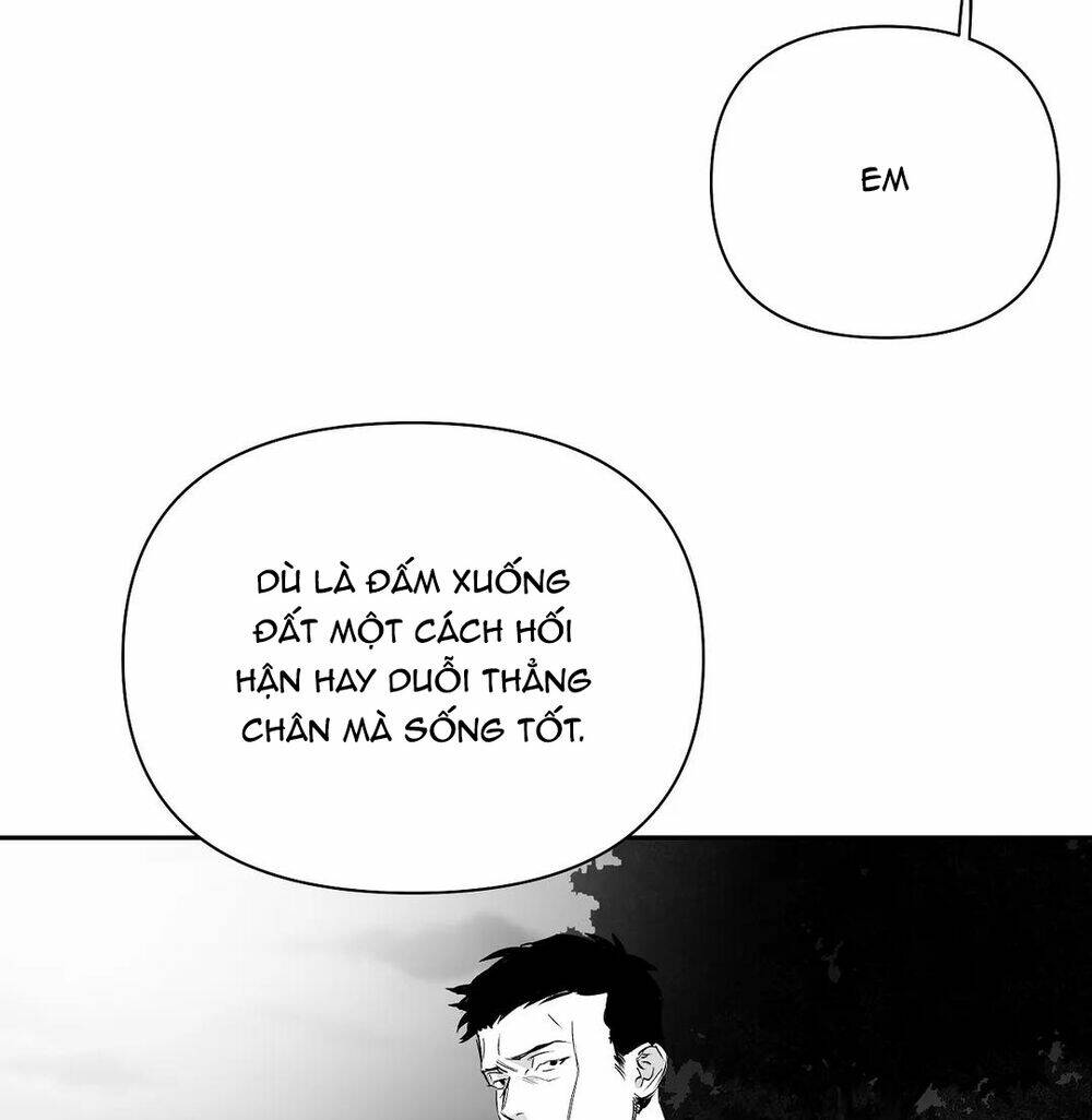 Chapter 49