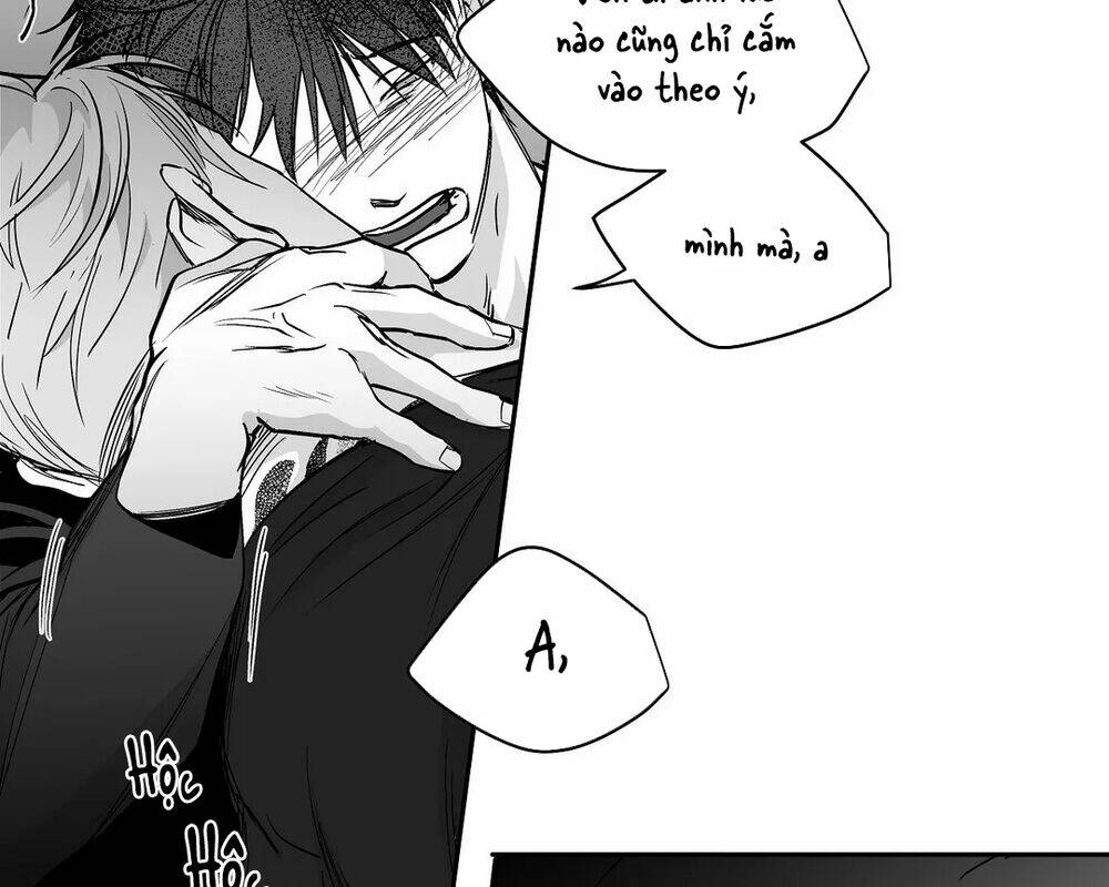 Chapter 40