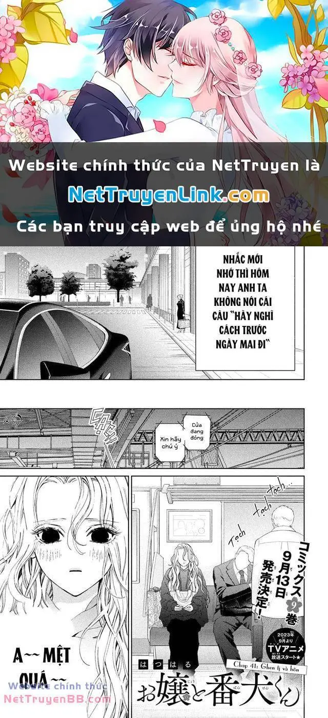 Chapter 41