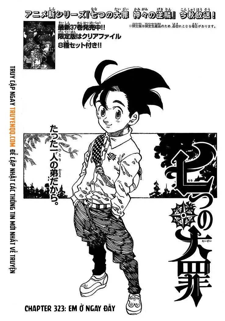 Chapter 323