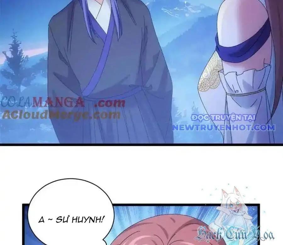 Chapter 297