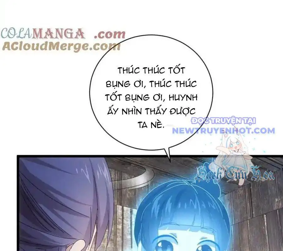 Chapter 294