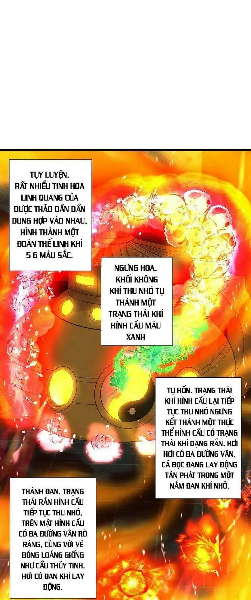 Chapter 209