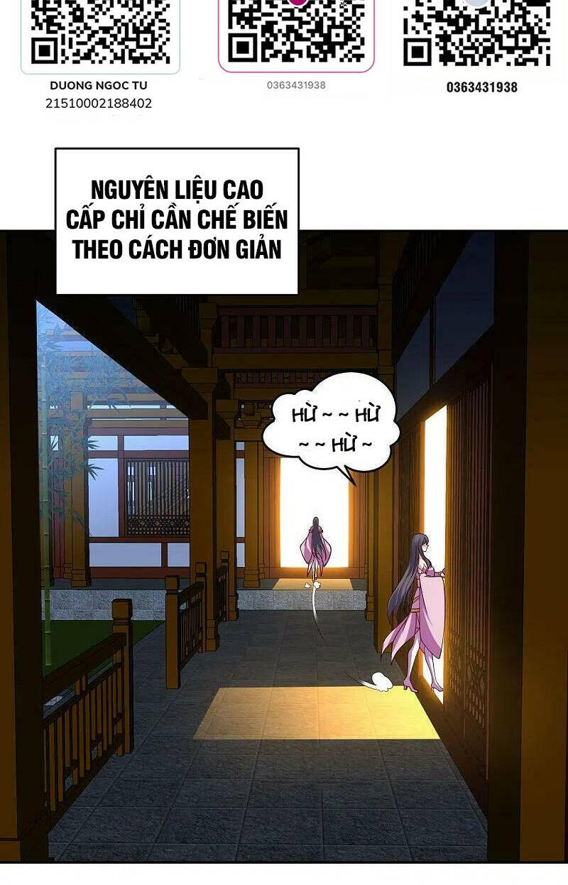 Chapter 411