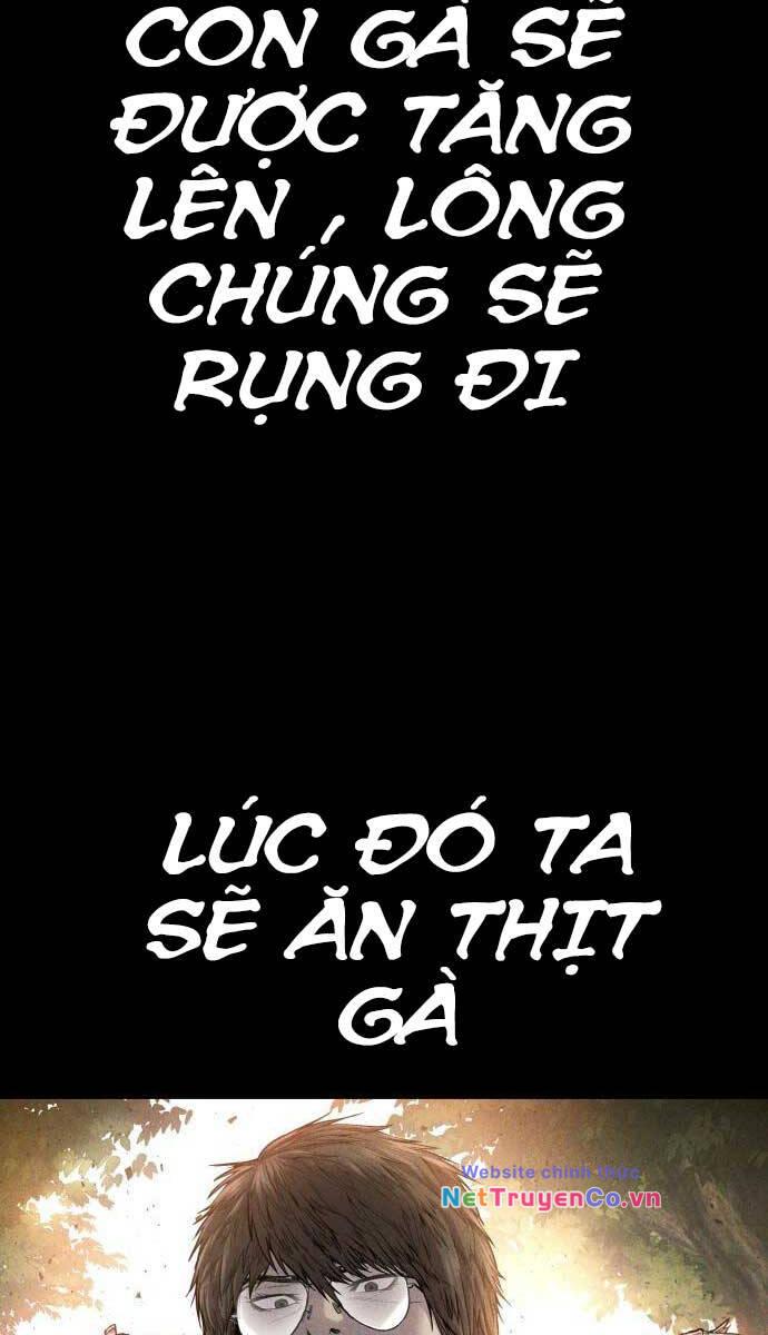 Chapter 95