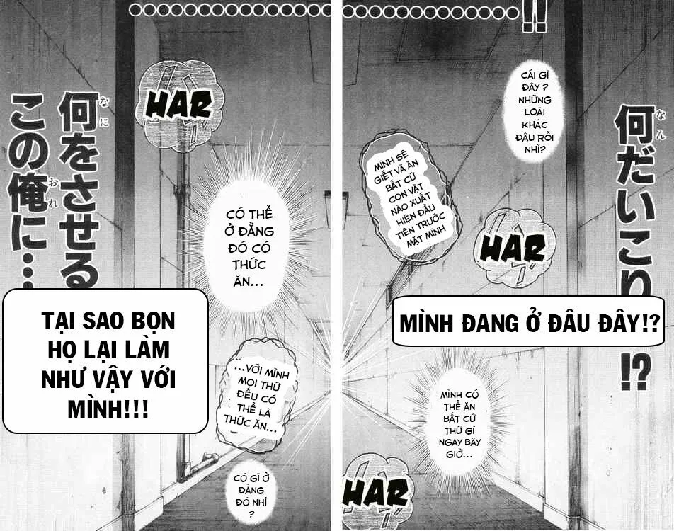 Chapter 91