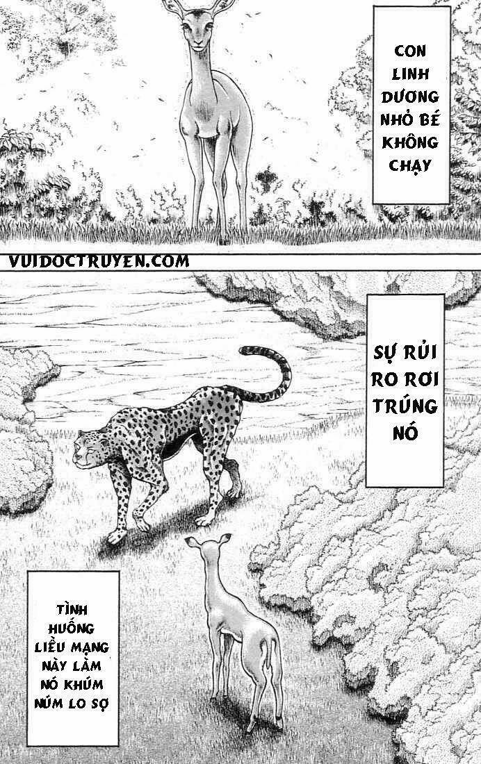 Chapter 137