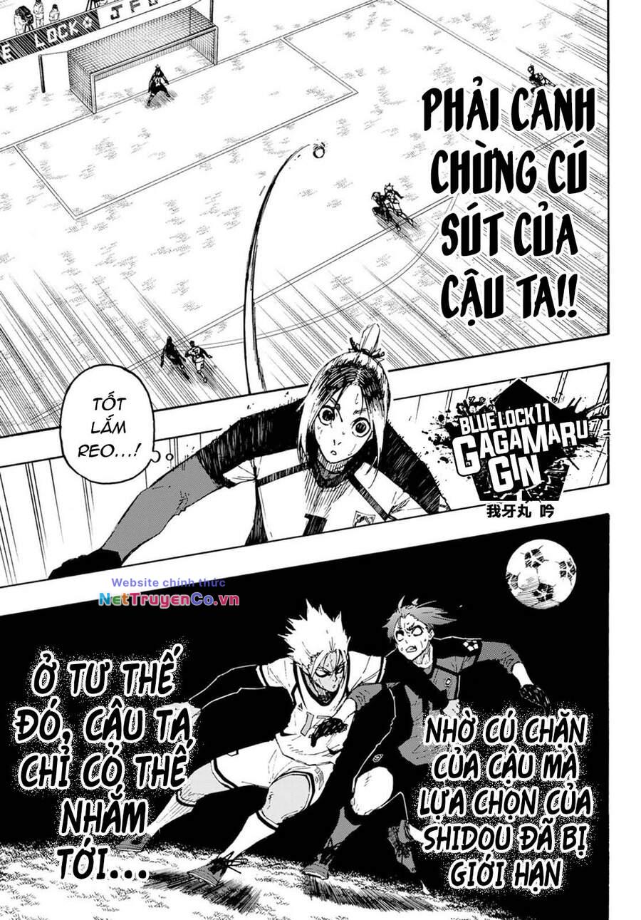 Chapter 135