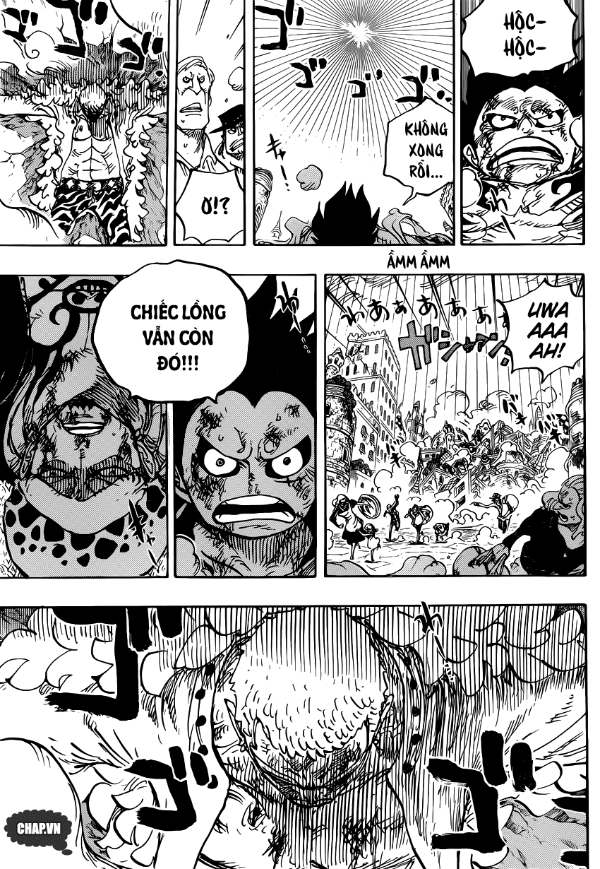 Chapter 786