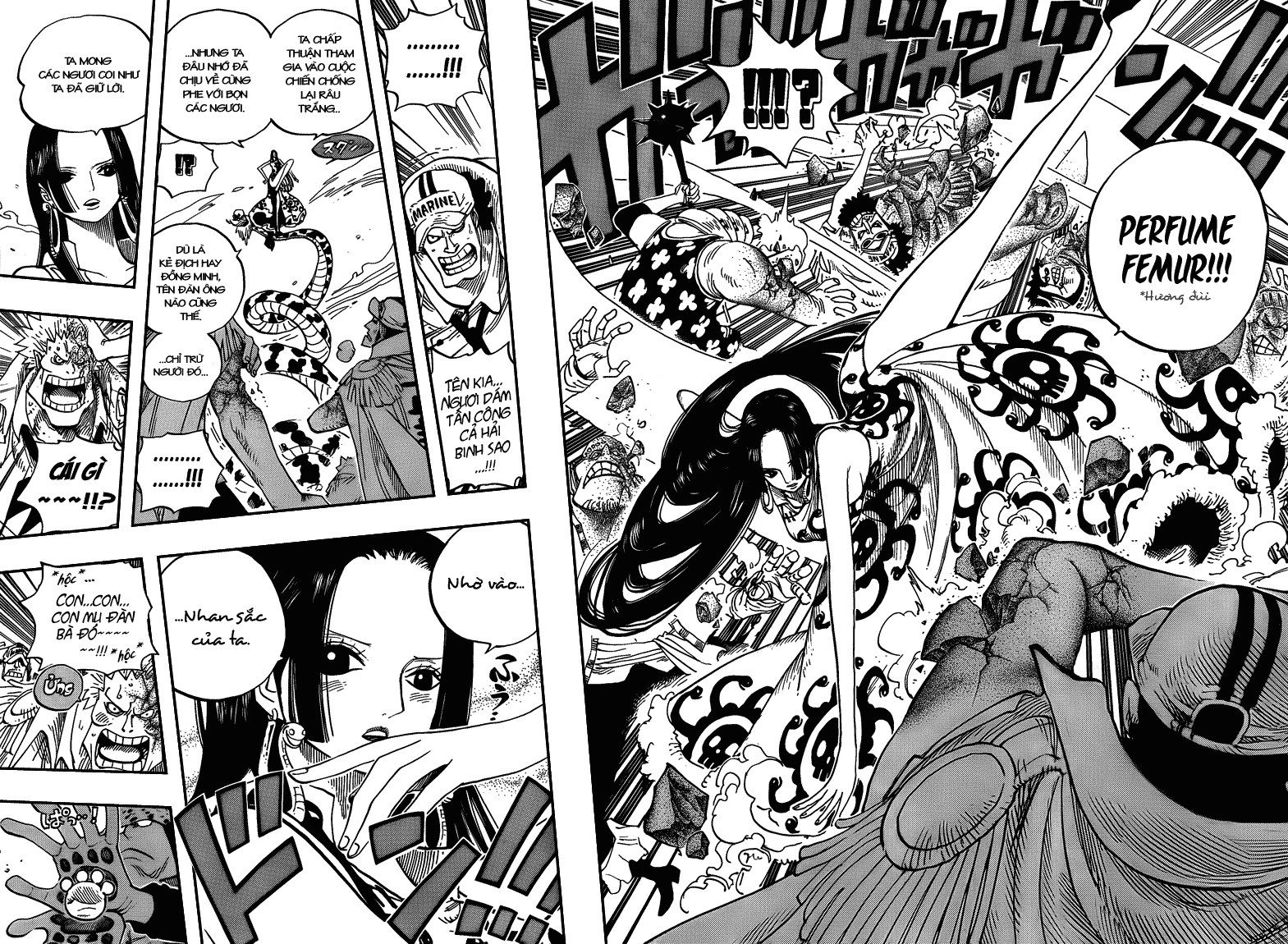 Chapter 555