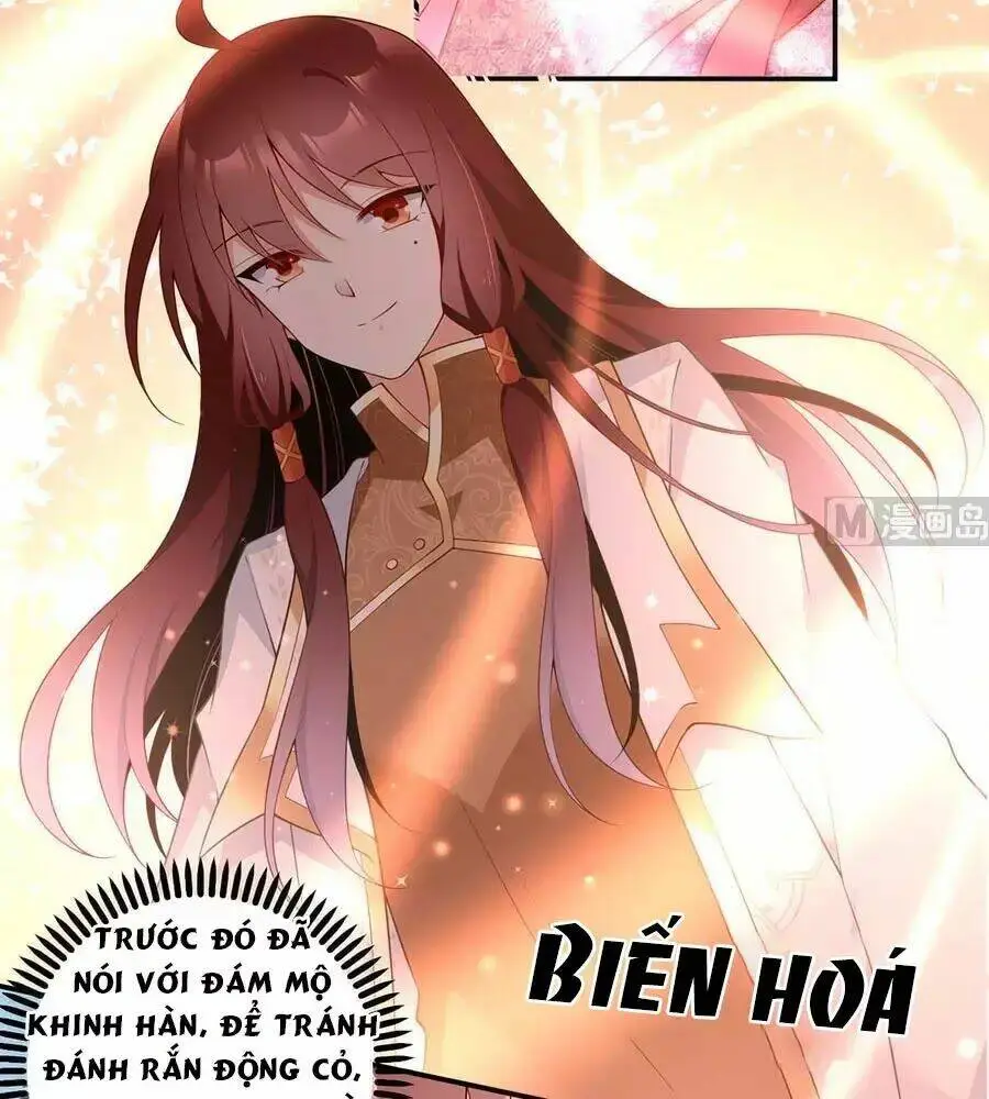 Chapter 172