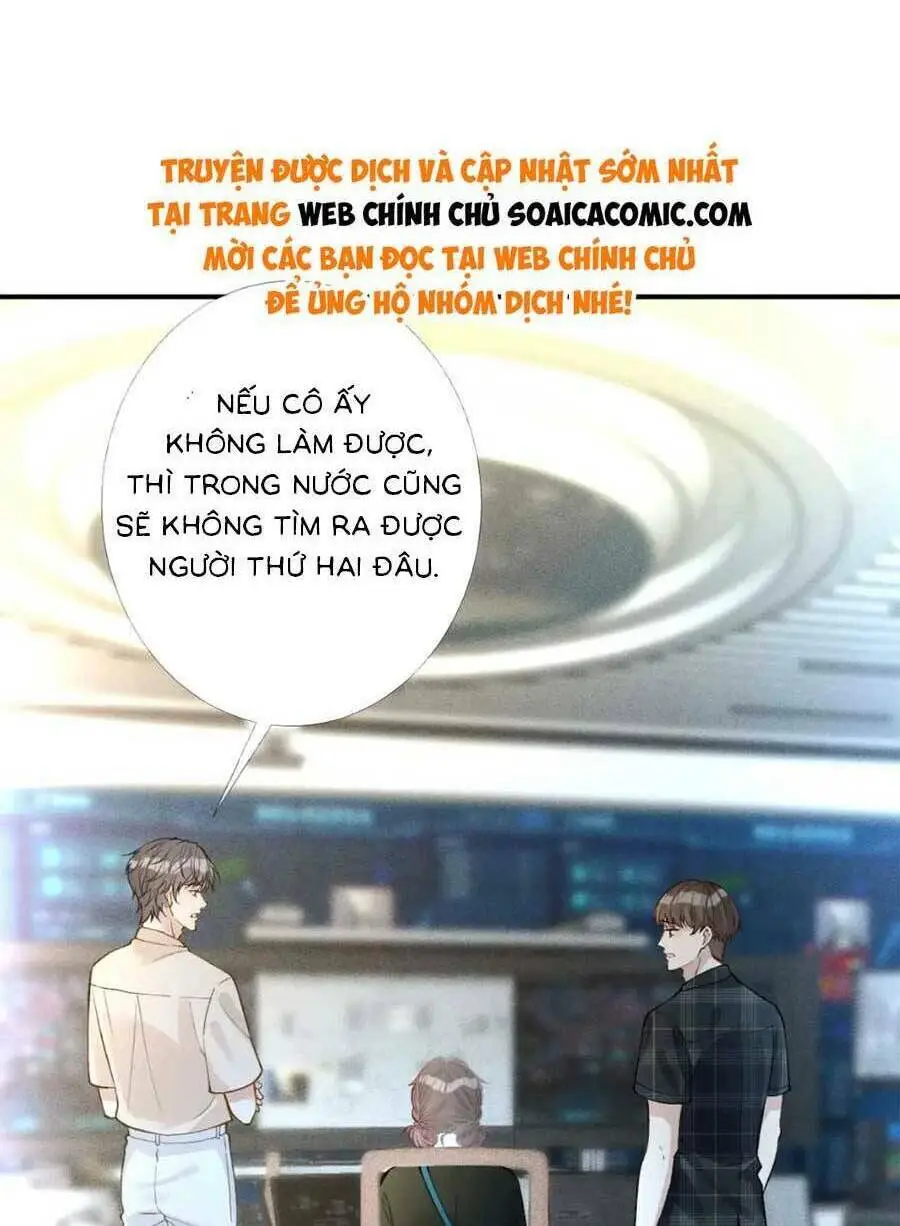 Chapter 204