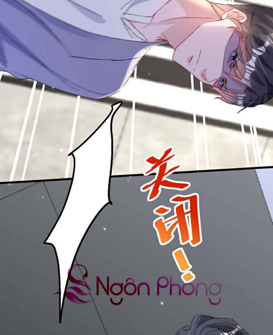 Chapter 193