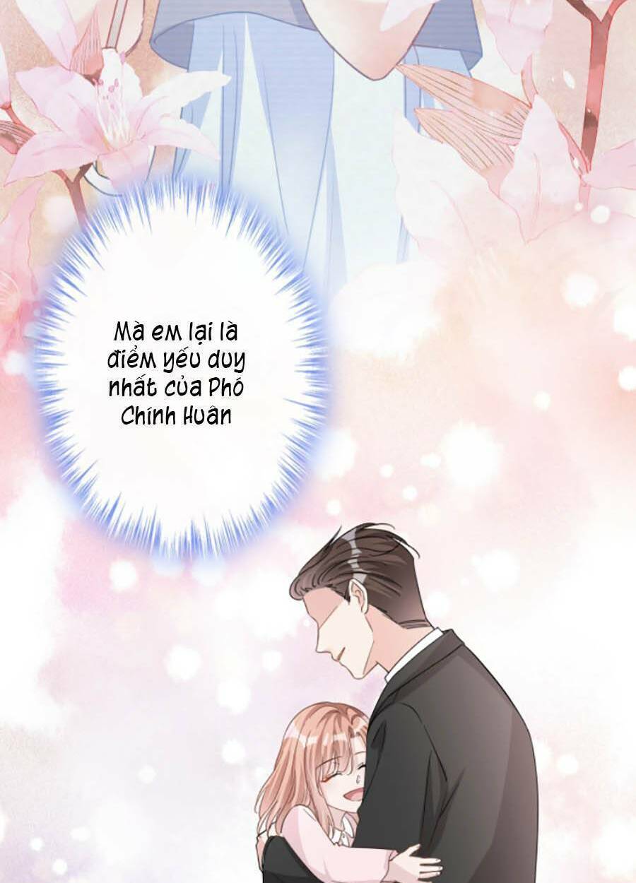 Chapter 30