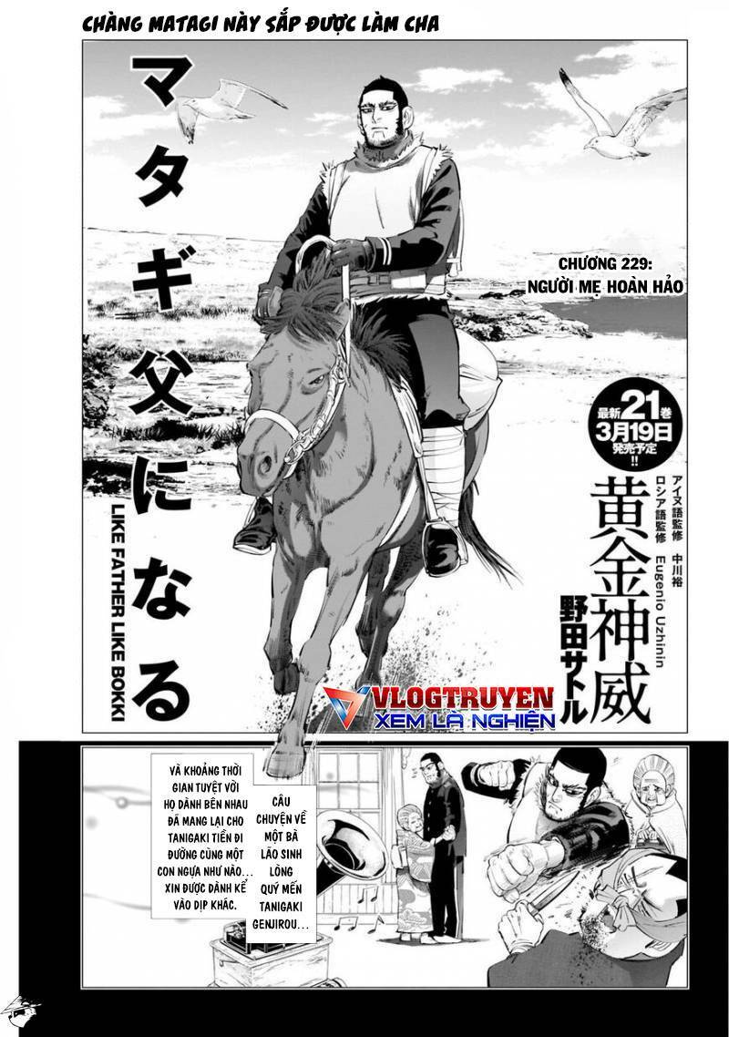 Chapter 229