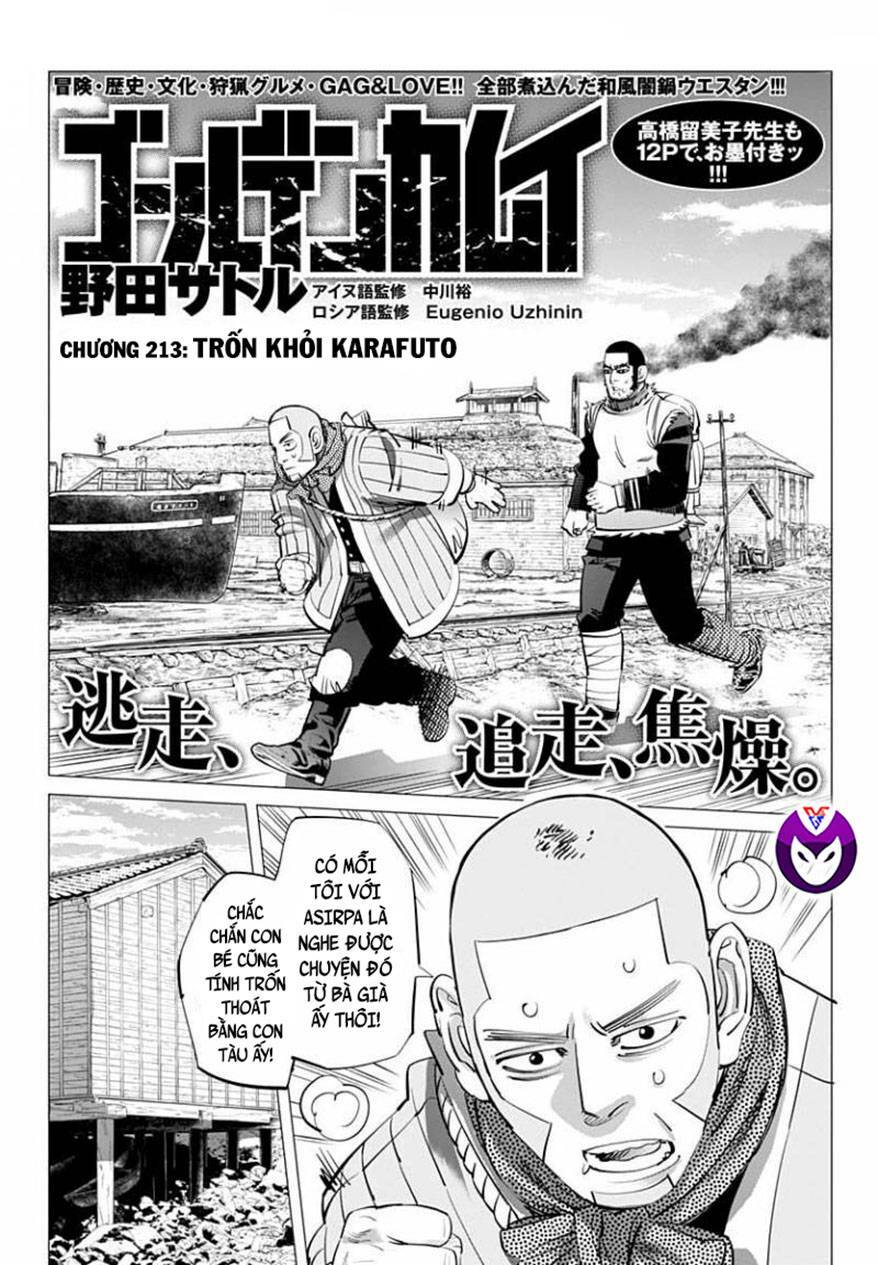 Chapter 213