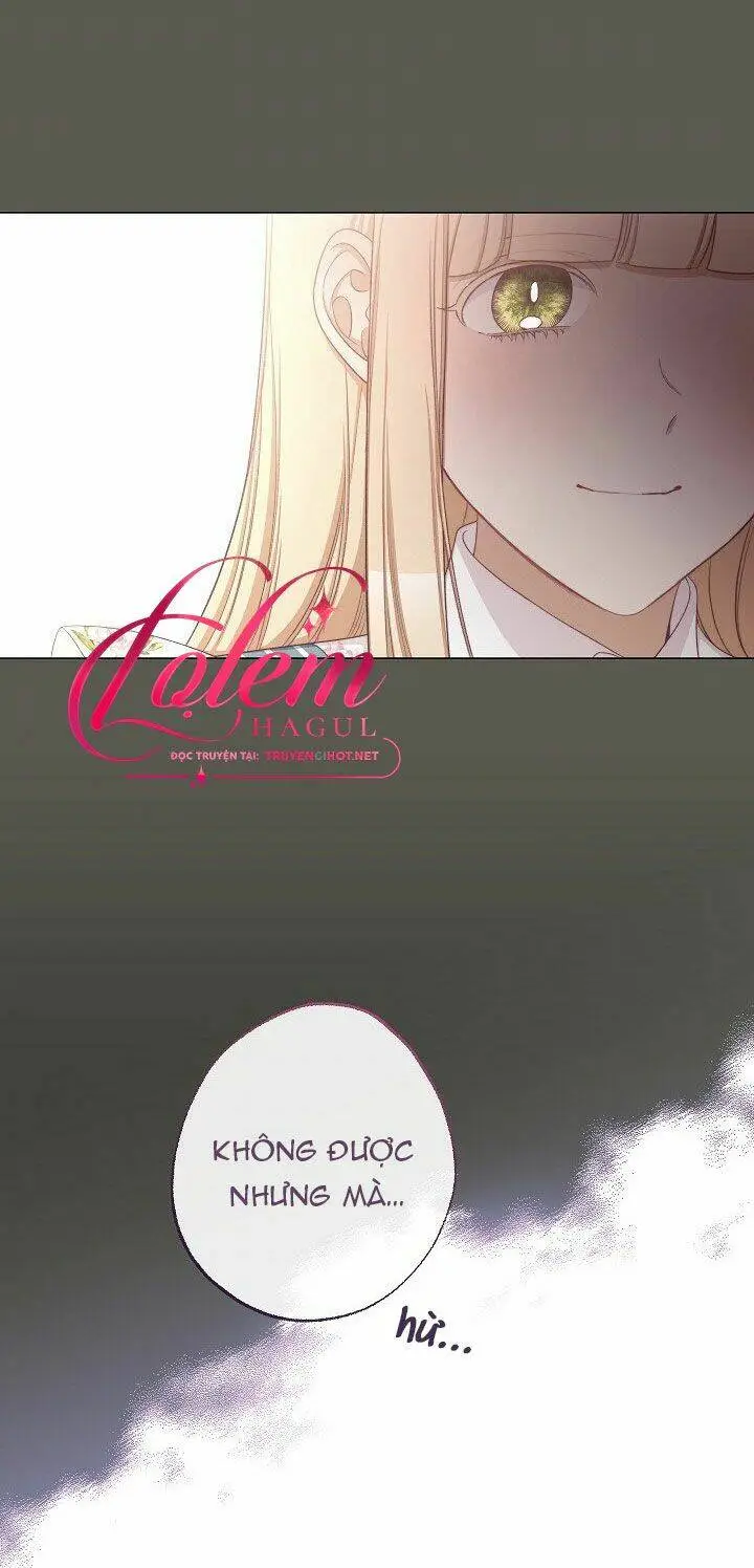 Chapter 95