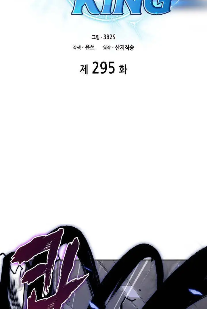 Chapter 295