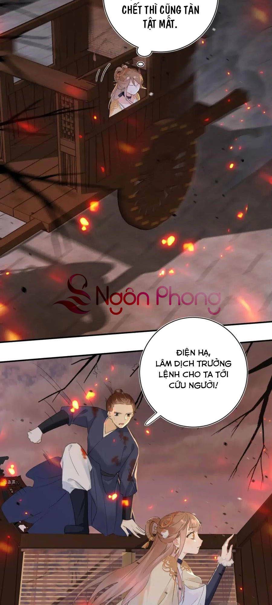 Chapter 52