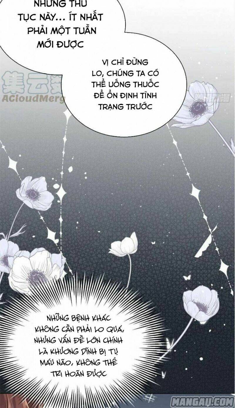 Chapter 53