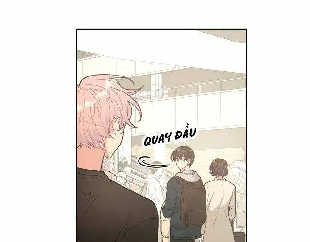 Chapter 49.5