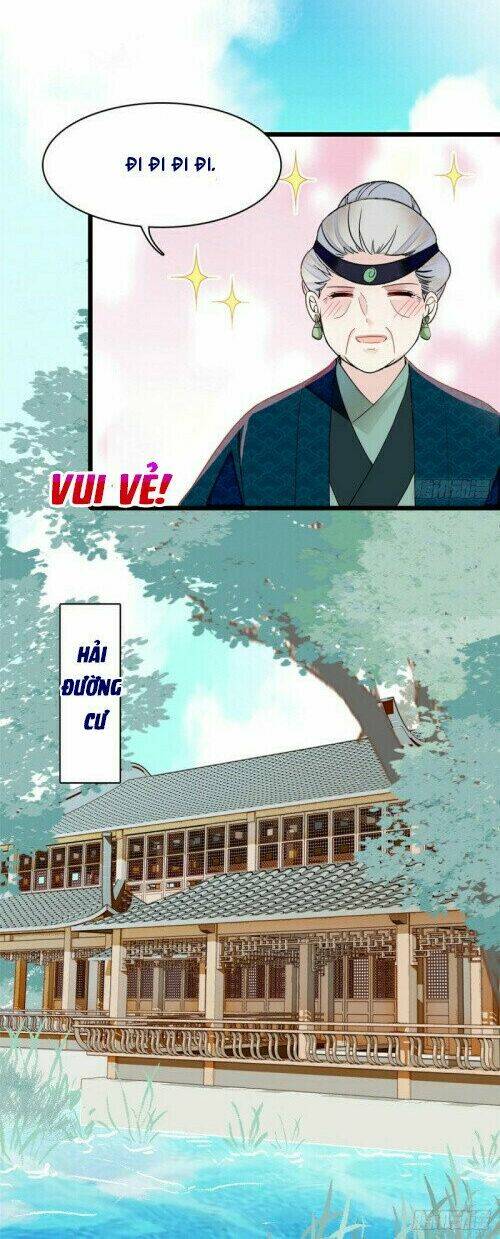 Chapter 146