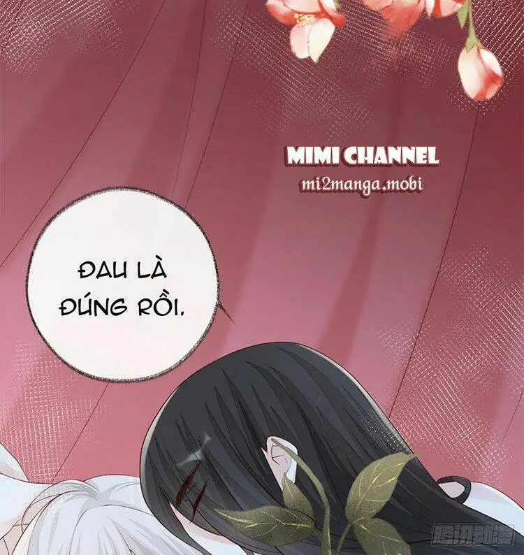 Chapter 40