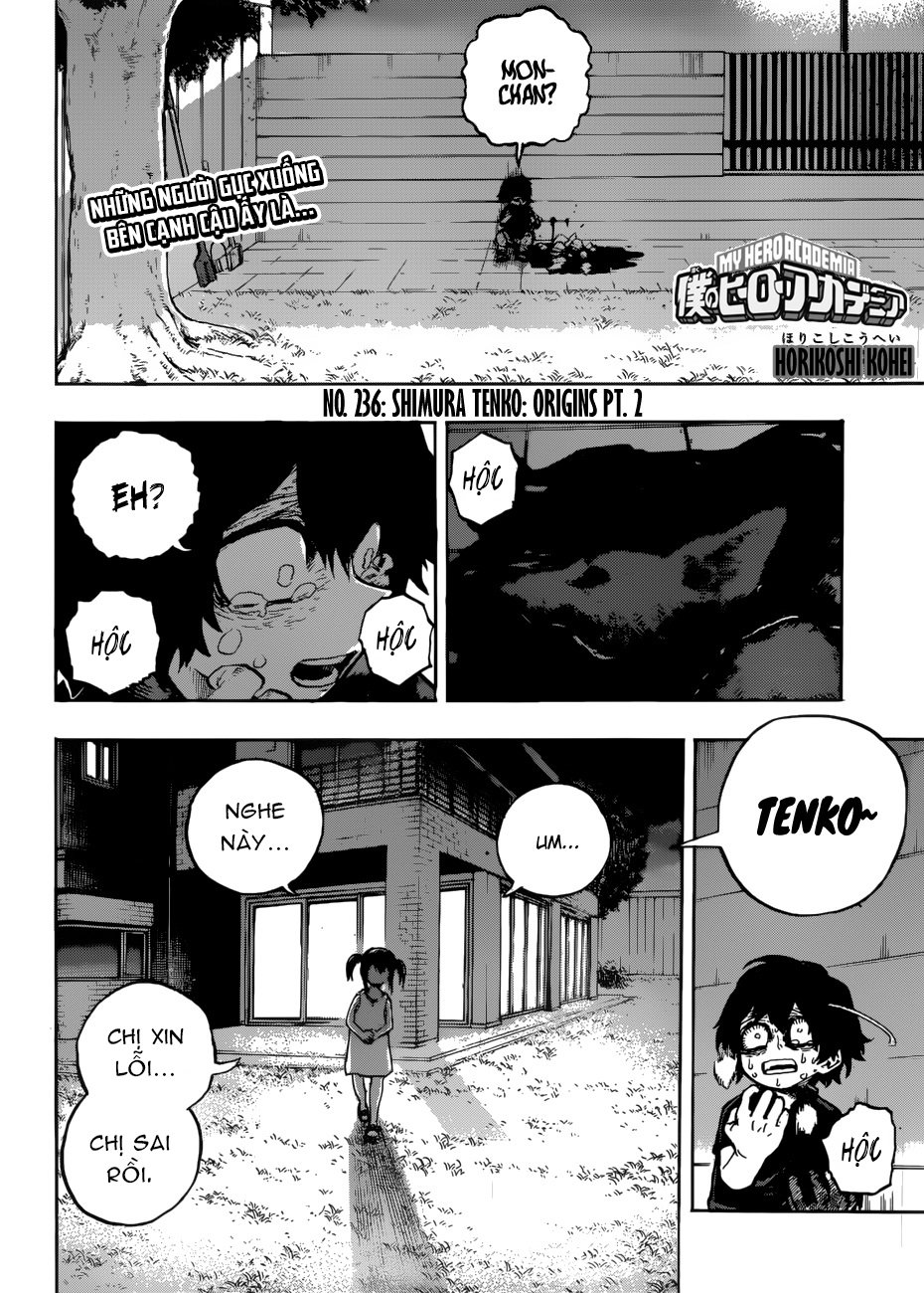 Chapter 236