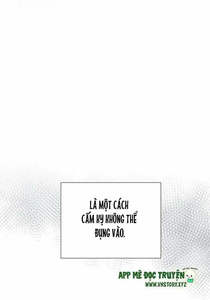 Chapter 146