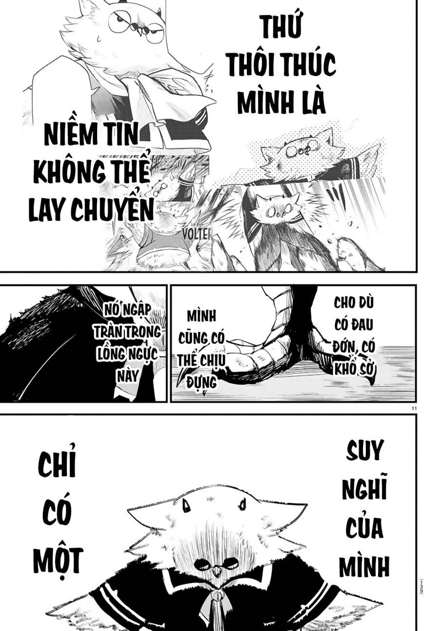 Chapter 243