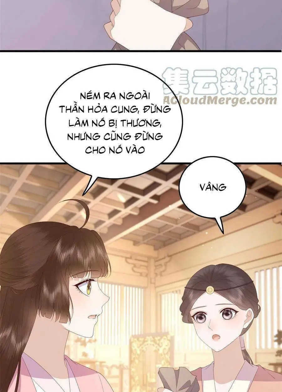 Chapter 95