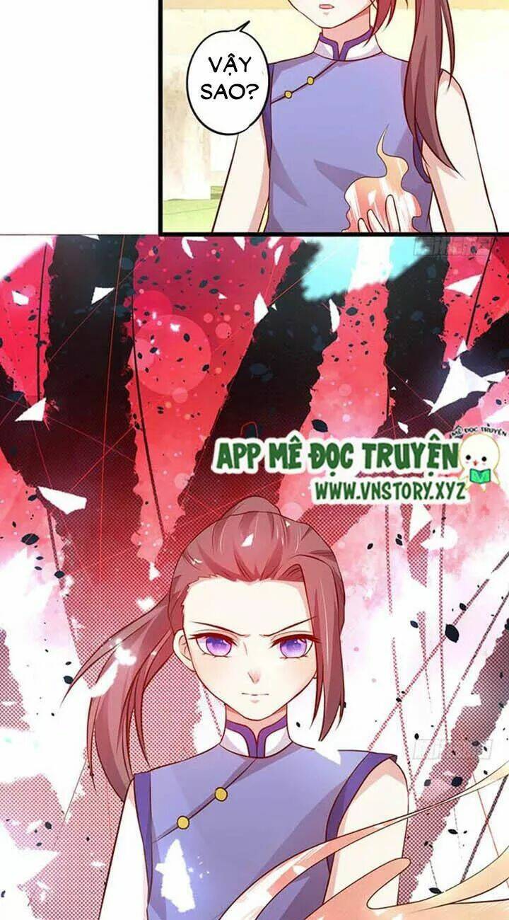 Chapter 156