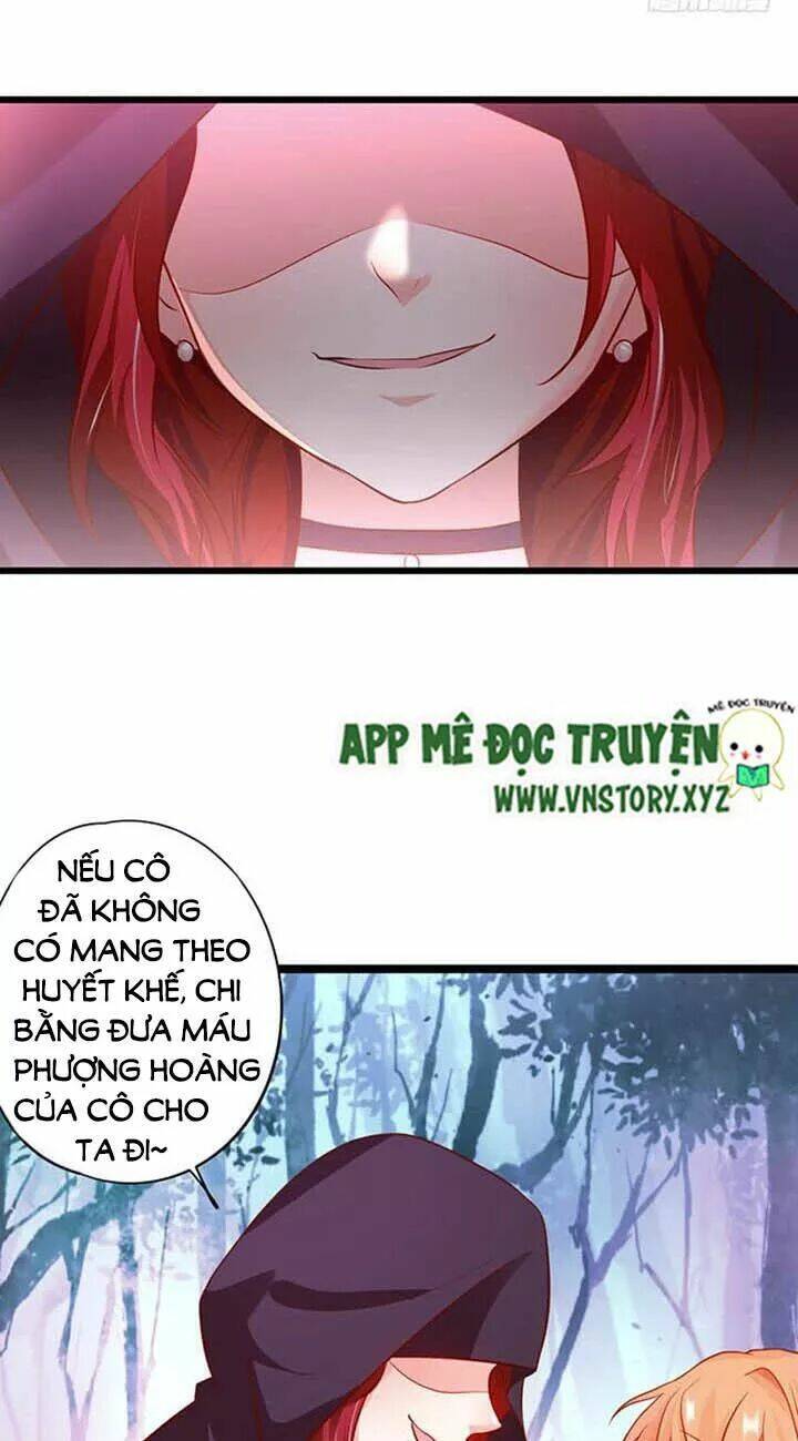 Chapter 155